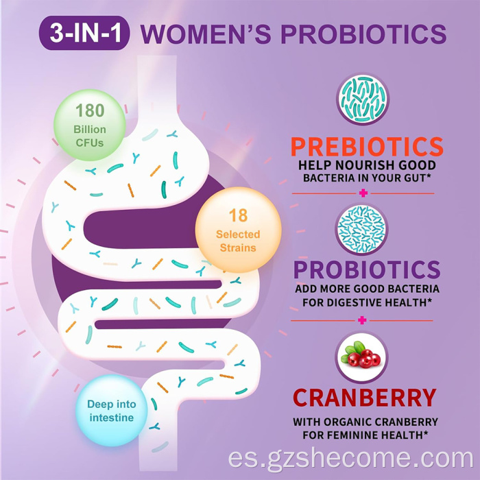 Shecome Cápsulas prebióticas probióticas para mujer Salud digestiva